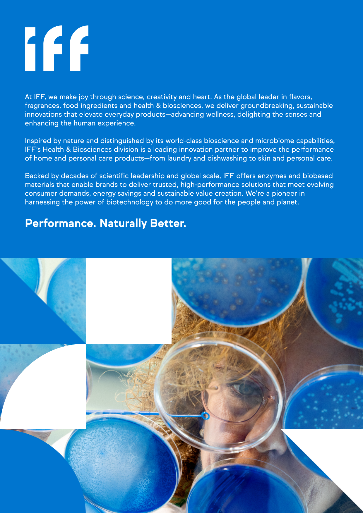 DETEXIFFCompanyProfi...